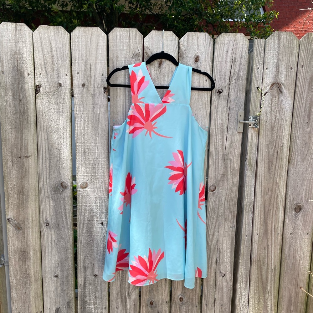 Cute whimsical blue dress with red/pink design